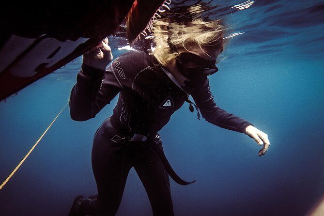 Discovery Freediving Program - Bohol’s underwater setting: corals, turtles, sardines, and a shot at whale sharks