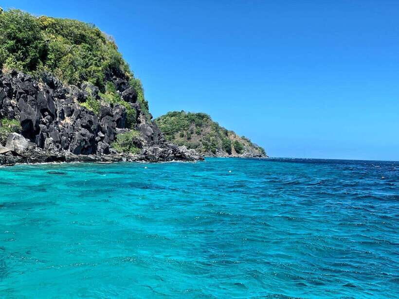 Dumaguete Apo Island with Turtle Snorkeling - One drawback worth planning for