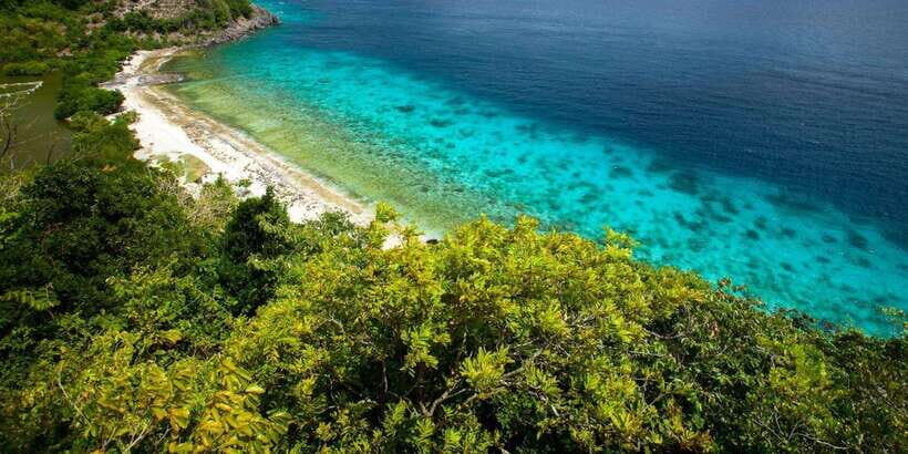 Dumaguete Apo Island with Turtle Snorkeling - Beach time after snorkeling: swimming, beachcombing, and pebble comfort