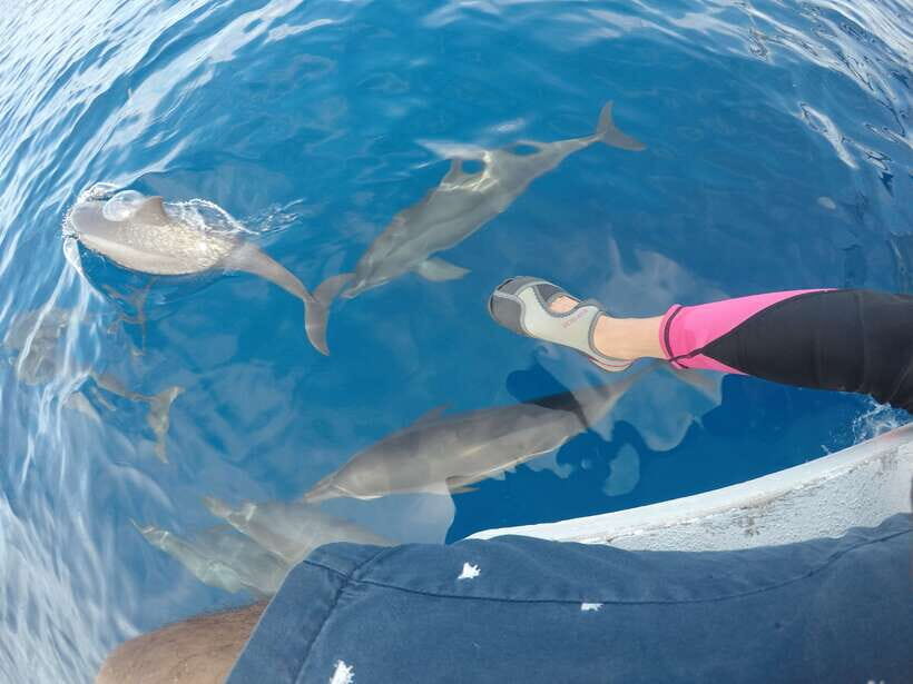 Dumaguete: Dolphin Watching & Manjuyod Sandbar Private Tour - Key things to know before you go