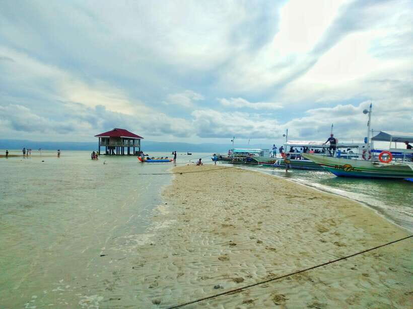 Dumaguete: Dolphin Watching & Manjuyod Sandbar Private Tour - Manjuyod Sandbar: Walking the White Sands and Cooling Off