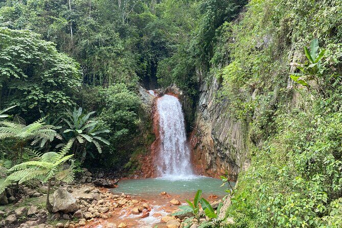 Dumaguete Tours in English - How a private English guide makes Dumaguete day trips feel effortless