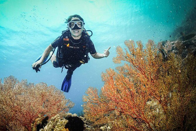 Easy Fun Scuba Dive in El Nido - How This Day Works in Real Life (and Why It’s a Good Fit)