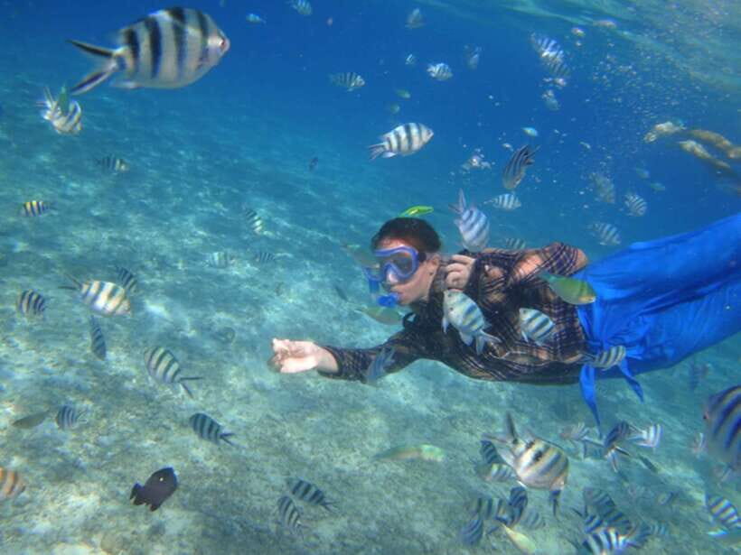 El Nido: Island Hopping Tour A Lagoons and Beaches - Snorkeling in Bacuit Bay: Fantastic Views With Real Safety Setup