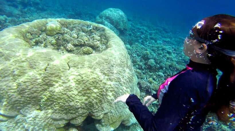 El Nido: Island Hopping Tour B Cudognong Cave & More - Key things to know before you go