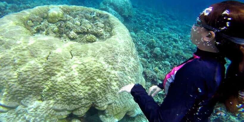 El Nido: Island Hopping Tour B Cudognong Cave & More - Price and logistics: what $25 covers, and what to budget for