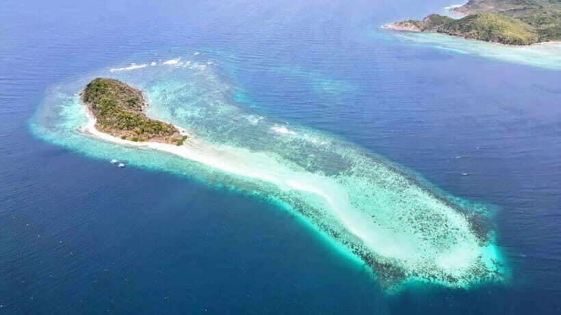 El Nido: Manta Ray Diving Experience in Sibaltan - What to Bring (and What Not to Do) for a Smooth Day