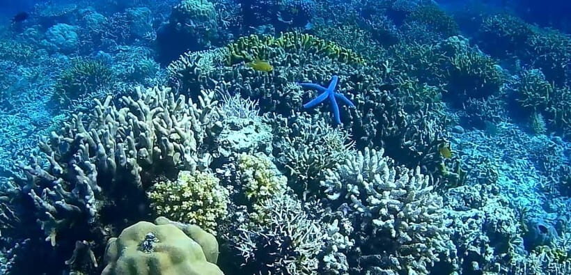 El Nido, Sibaltan: Private Snorkeling & Secret Islands Tour - Lunch on a quiet shore: why it’s more than just included food