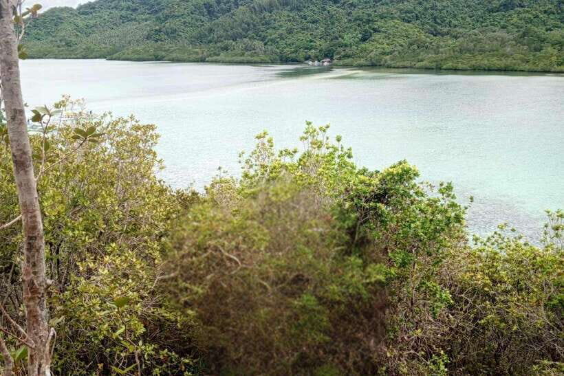 El Nido: Tour B with Snake Island, Cudugnon Cave, and More - Cudugnon Cave: lunch included, rock formations included