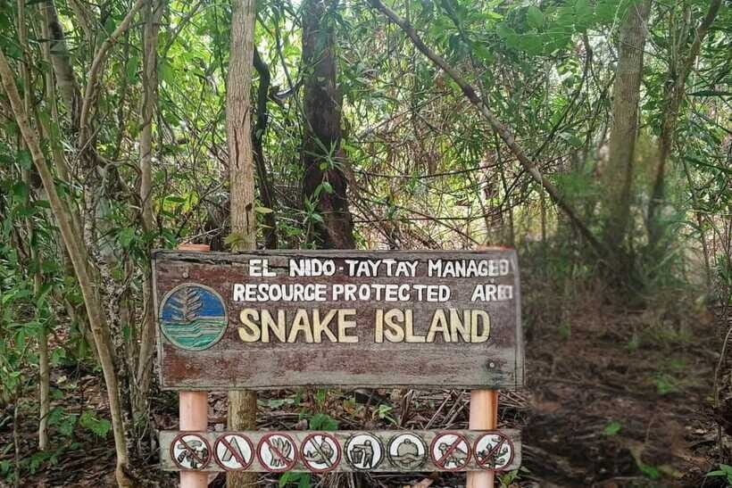El Nido: Tour B with Snake Island, Cudugnon Cave, and More - What to pack so the day stays smooth