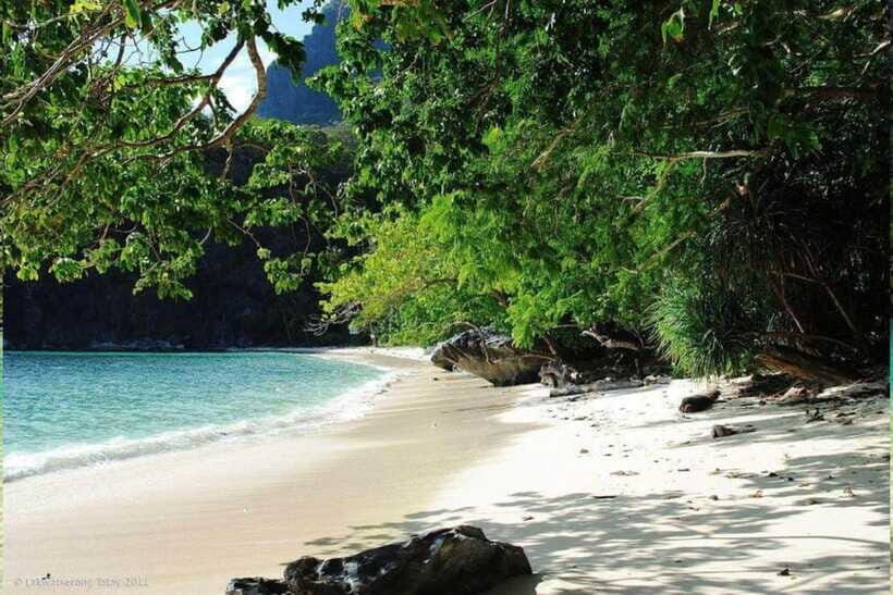 El Nido: Tour D with Cadlao Lagoon, Paradise Beach & More - Nat Nat Beach for lunch: where the marine life viewing fits the rules