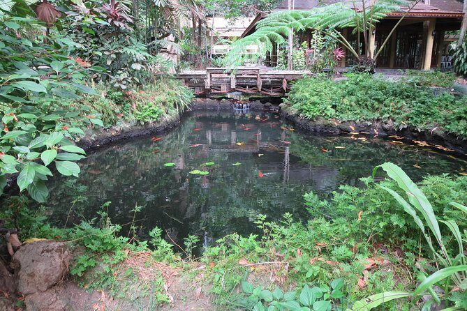 Escape to Enchanting Hidden Valley Springs! with Transfers*** - Lunch included: traditional Filipino food, and you’ll actually like it