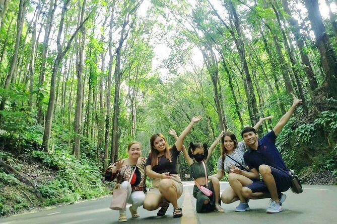 Exclusive Bohol,Philippines Chocolate Hills-Tarsier Tour - Bohol Tarsier Conservation Area: the mouse-sized primate stop