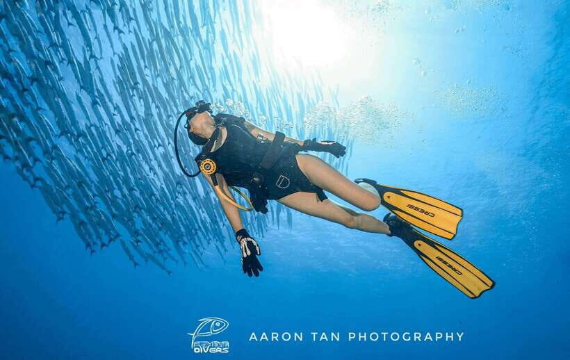 Fisheye Divers: Discover Scuba Diving - Key Things That Make This Experience Worth It