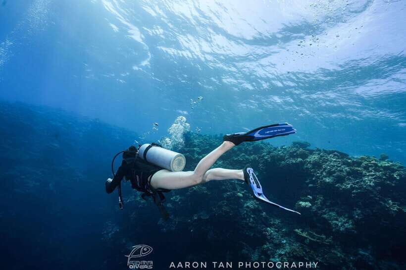 Fisheye Divers: Discover Scuba Diving - The Reef Time at the Coral Garden: 45 Minutes and a Photographer