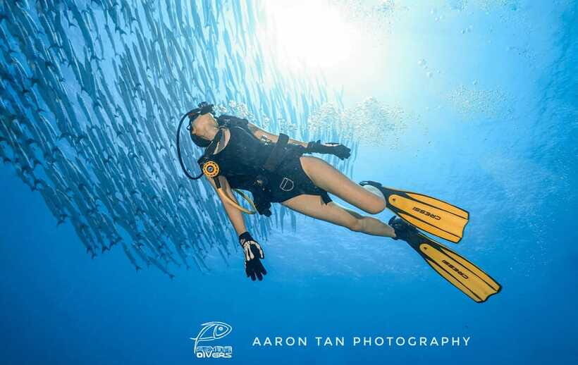 Fisheye Divers: Discover Scuba Diving - Price and Value: What You Pay for at $126 Per Person