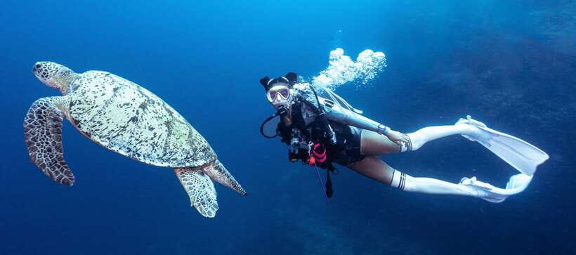 Fisheye Divers: Discover Scuba Diving - Confined Water Skills: What You’ll Practice Before Going Out
