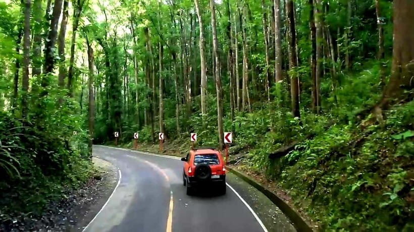 From Cebu: Bohol Countryside & Buffet Lunch Exclusive Tour - From Cebu to Bohol: the ferry ride that makes the day feel like a trip