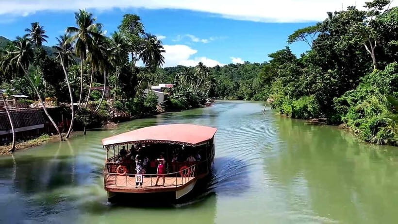 From Cebu: Bohol Countryside & Buffet Lunch Exclusive Tour - Tarsier Conservation Area: calm viewing and why you’ll want those 1.5 hours