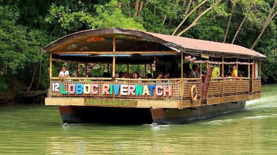 From Cebu: Bohol Countryside Private Tour with Buffet Lunch - Butterfly Farm and the Man-Made Forest: quick nature breaks that reset you