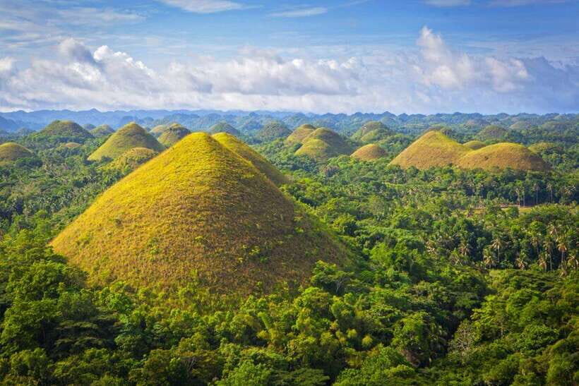 From Cebu City: Bohol Island Highlights in One Day - From Cebu at 4–5 a.m.: the rhythm of a 14-hour Bohol day