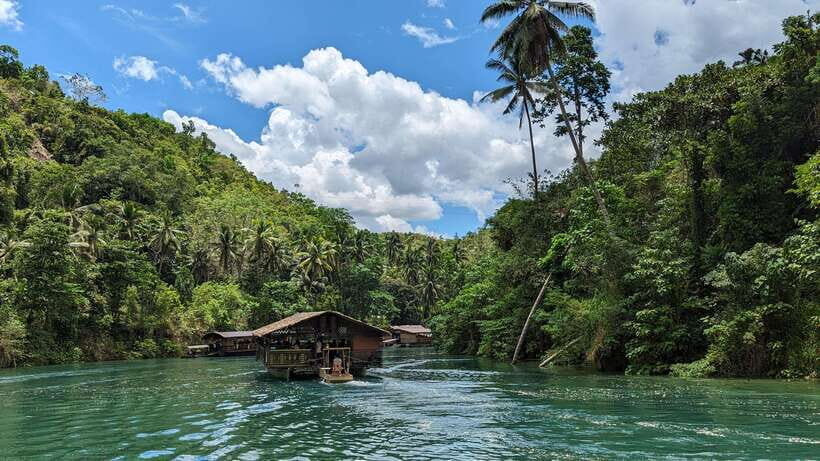 From Cebu City: Bohol Island Highlights in One Day - Who this Bohol highlights day tour suits best
