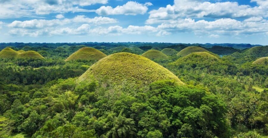 From Cebu City: Bohol Island Highlights in One Day - Price and what you get for about $154 per person