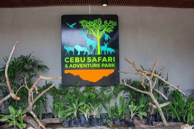 From Cebu City: Cebu Safari and Adventure Park Day Tour - From Cebu City to Carmen Hills: The ride that sets the tone
