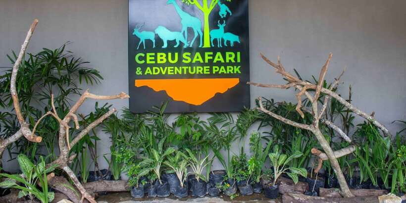 From Cebu City: Cebu Safari and Adventure Park Day Tour - White Lion Safari: what you’re really paying for