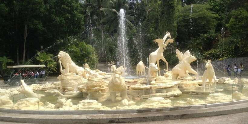 From Cebu City: Cebu Safari and Adventure Park Day Tour - Tiger viewing windows: plan like a pro, not like a tourist