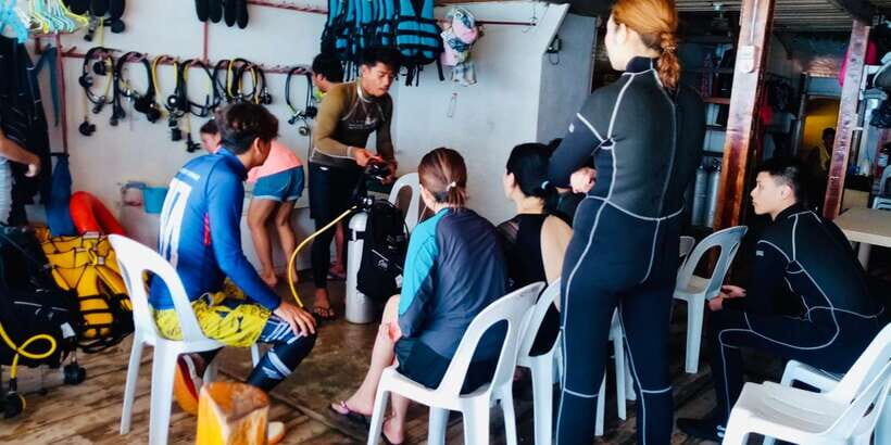 From Cebu City: Scuba Diving with Whale Sharks Trip in Oslob - How the day flows: pacing from pickup to return