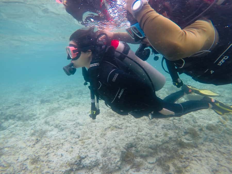 From Cebu City: Scuba Diving with Whale Sharks Trip in Oslob - The crowd reality: why scuba can feel calmer than surface tours