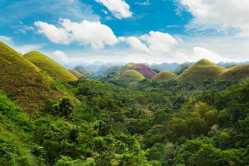 From Cebu: Day Trip to Bohol Highlights - Loboc River Cruise Lunch: The Best Break in the Day