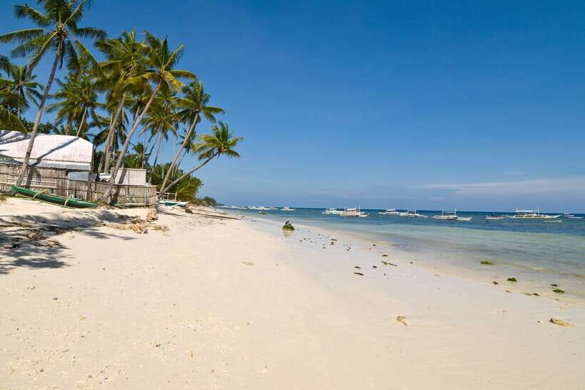 From Cebu: Day Trip to Bohol Highlights - Carmen and the Chocolate Hills: Brown Mounds and a Real Viewpoint