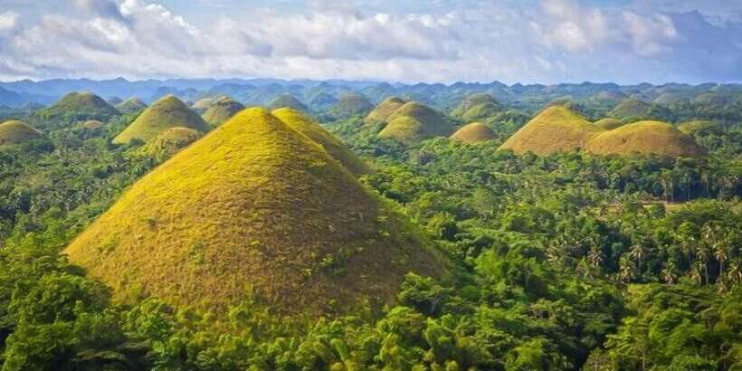 From Cebu: Full-Day Bohol Excursion - Cebu to Bohol: the fast ferry rhythm that sets the tone