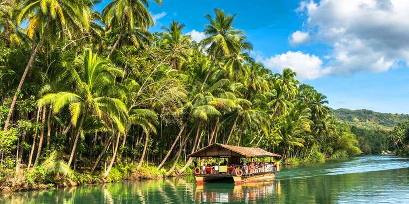 From Cebu: Full-Day Bohol Excursion - Bilar Man-Made Mahogany Forest: a walk with big visual payoff