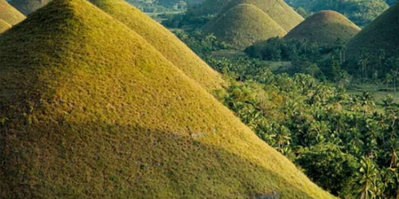 From Cebu: Full-Day Bohol Excursion - Chocolate Hills and tarsiers: the iconic Bohol combo