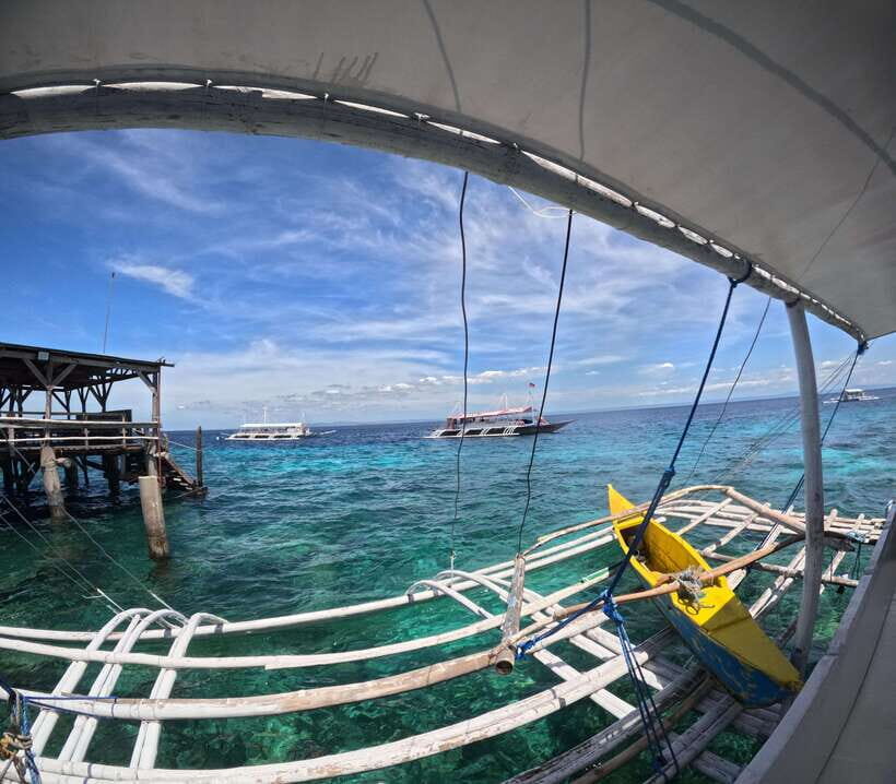 From Cebu: Island Hopping to 3 islands with BBQ lunch - Stop 1: Hilutungan (Gilutongan) Marine Sanctuary and the fish show