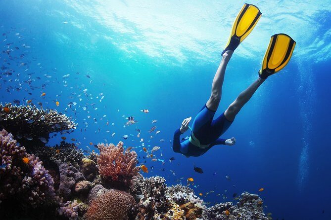 From Cebu: Island Hopping to 3 islands with BBQ lunch - Morning pickup and the smooth ride to the first snorkel stop