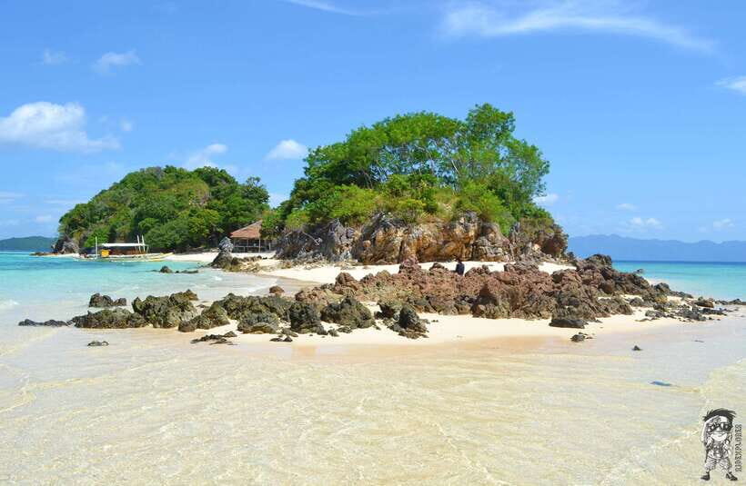 From Coron: Private Island-Hopping Cruise with Lunch - Malcapuya: the shallow turquoise start (and what to do in the water)