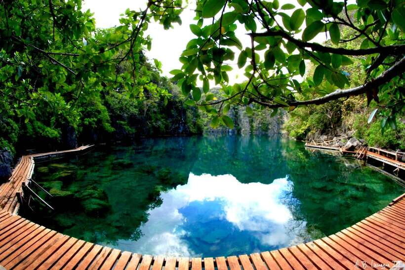 From Coron: Twin Lagoon and Skeleton Wreck Cruise with Lunch - Twin Lagoon swimming: the water you remember