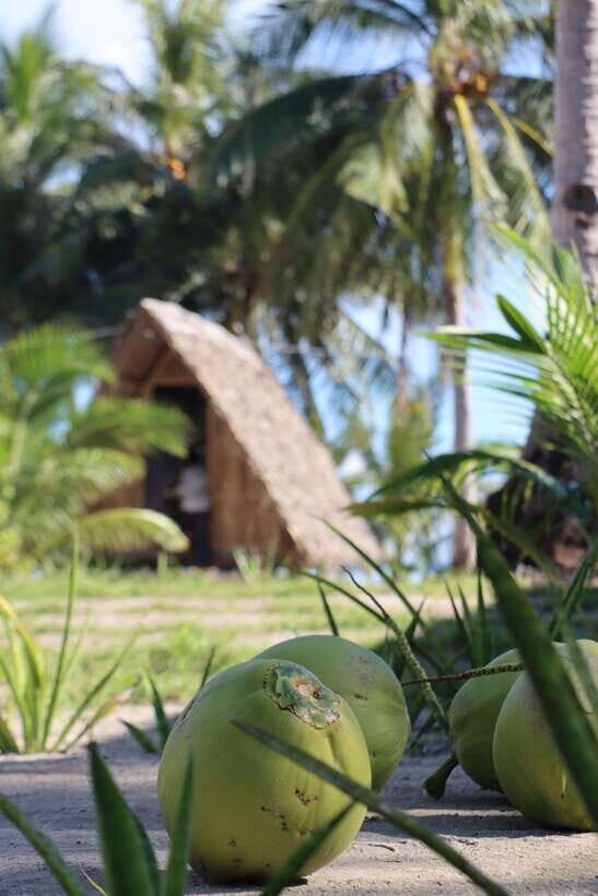From El Nido: to Coron 3-Day 2-Night Island-Hopping Tour - Day 1: settling in, island-hopping, and your first nipa hut night