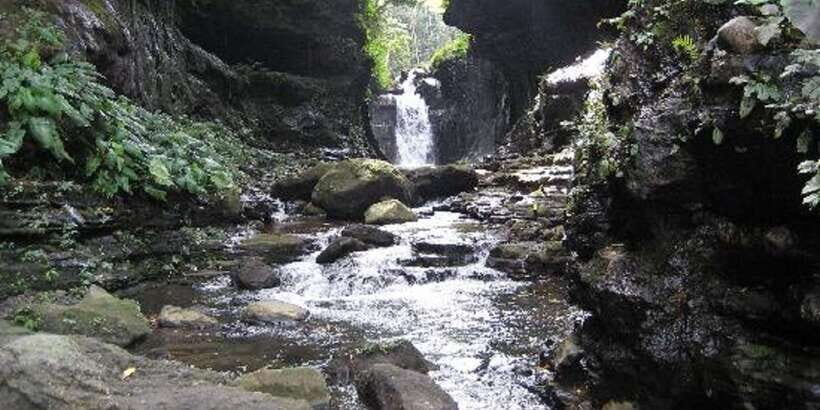 From Manila: Day Tour to Enchanting Hidden Valley - Resort Facilities and Lunch: Clean Comfort After a Long Ride