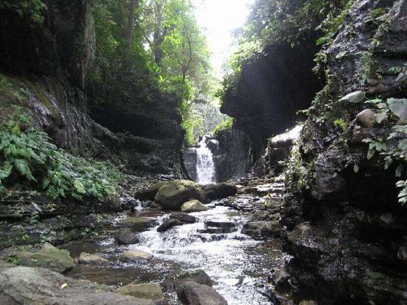 From Manila: Day Tour to Enchanting Hidden Valley - The Manila Drive Takes Time—But the Tour Uses It Smartly