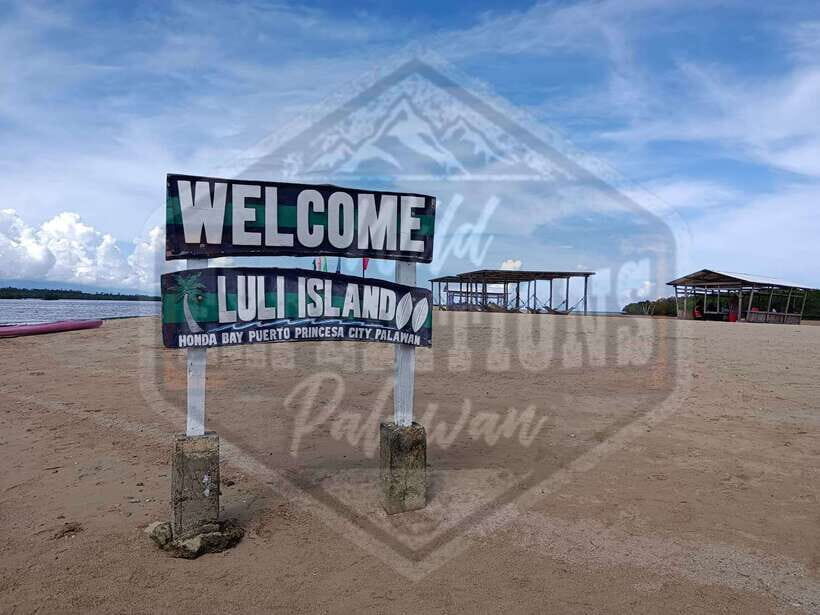 From Puerto Princesa: Honda Bay Island Hopping Full-Day Tour - Stop 2: Luli Island’s underwater time (and why it’s worth aiming for)