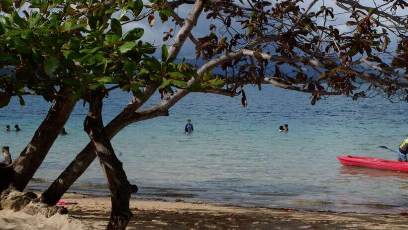 From Puerto Princesa: Honda Bay Island Hopping Full-Day Tour - Stop 3: Starfish Island and how to find them at the shoreline