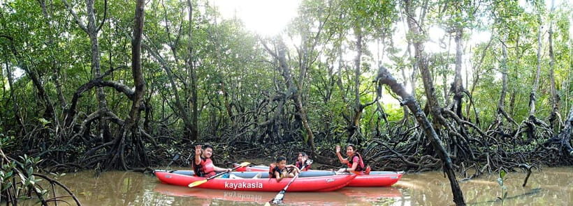 From Tagbilaran City/Panglao Island: Bohol Mangrove Kayaking - Getting there: Panglao or Tagbilaran logistics that don’t waste your day