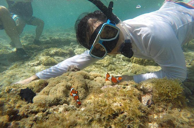 Full Day Apo Island Tour from Dumaguete - Habagat Trail trek: 30 minutes for coastline and sanctuary views