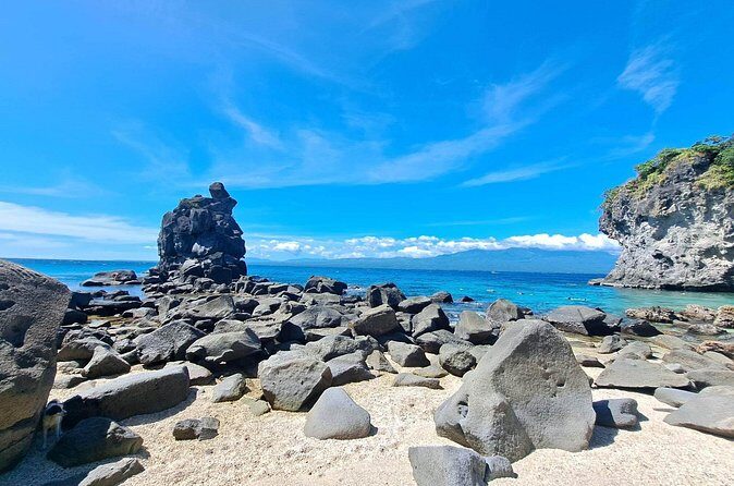 Full Day Apo Island Tour from Dumaguete - Coral gardens, Nemo fish, and what the reef life means