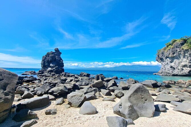 Full Day Apo Island Tour from Dumaguete - Turtle Point snorkeling: the main event, done the right way